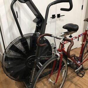 Schwinn AirDyne Stationary Fan Bike - Gray with Black Fan